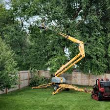 Best Fruit Tree Pruning  in Vley, AL